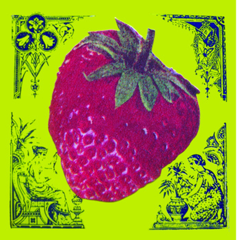 Wussy's Strawberry album cover