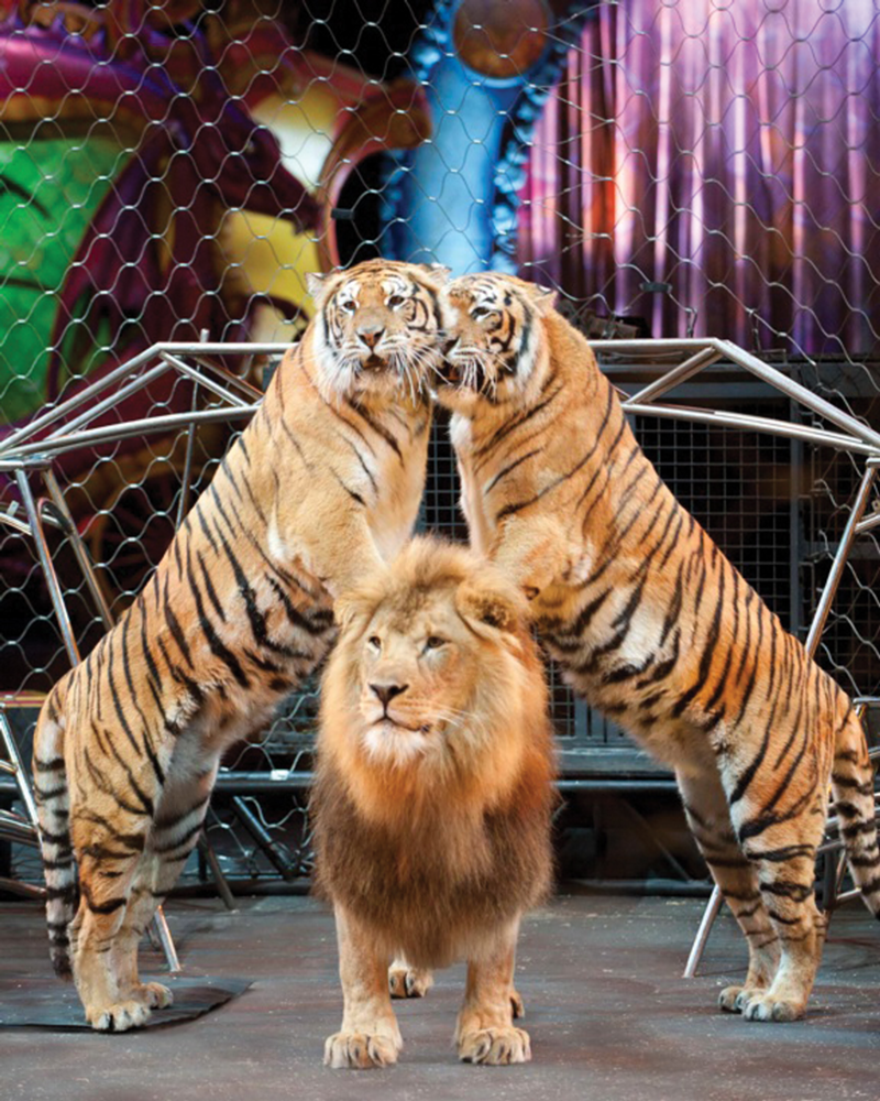 Event: Ringling Bros. and Barnum & Bailey Present Dragons!
