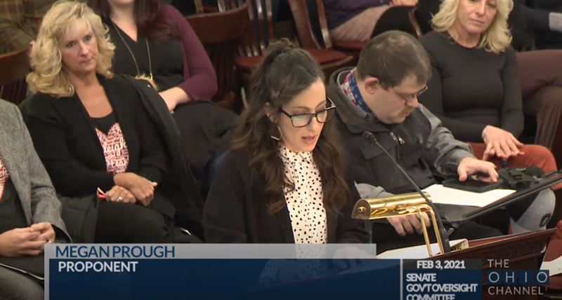 Lawmakers heard testimony in support of Senate Bill 22 on Wednesday, which would allow legislators to strike down health orders. - PHOTO: SCREENSHOT COURTESY THE OHIO CHANNEL
