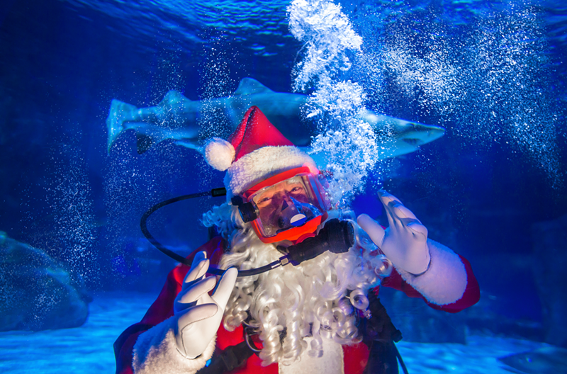 Scuba Santa - Photo: Newport Aquarium