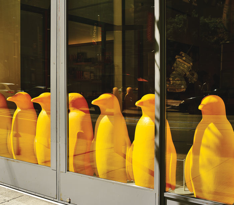 Cracking Art Group's bright yellow penguins are moved about 21c Museum Hotel. - Photo: Jesse Fox