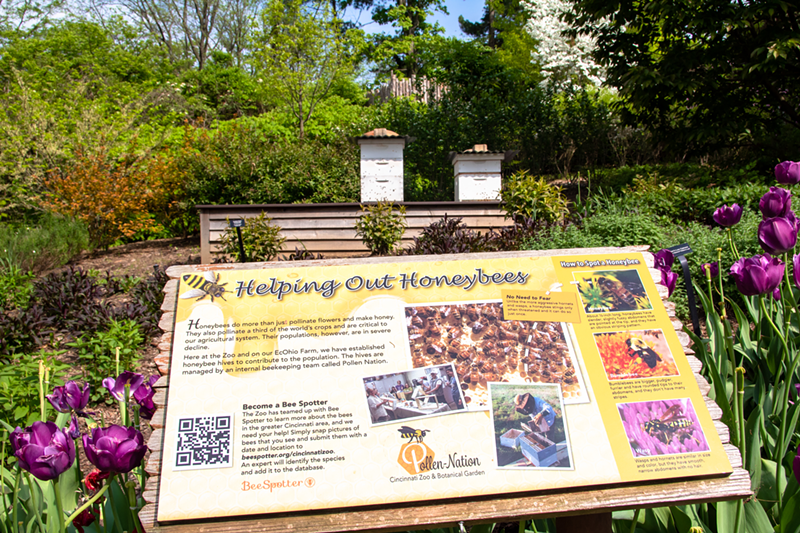 Cincinnati Zoo & Botanical Garden bee hives - Photo: Paige Deglow
