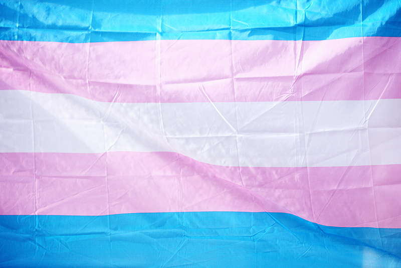 A transgender pride flag - Photo: Sharon McCutcheon