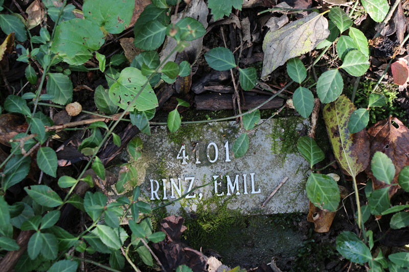 Price Hill's Neglected 170-Year-Old Potter's Field Cemetery Has a Dark and Shameful Past