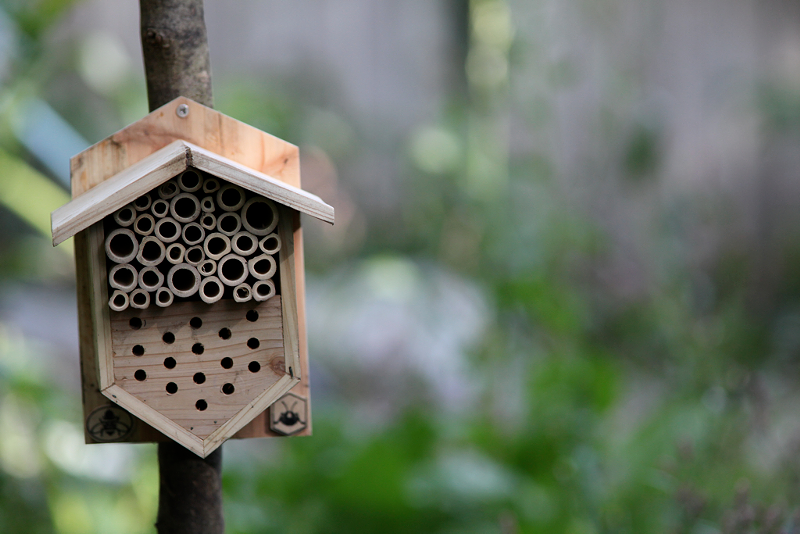 A bee hotel - PHOTO: CREATIVE COMMONS/GEORGE GRINSTEAD