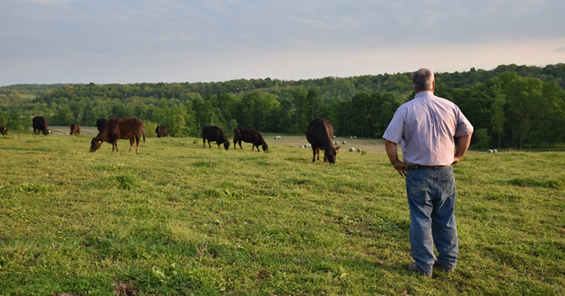 An Ohio beef farmer - PHOTO: FACEBOOK.COM/OHIOBEEF