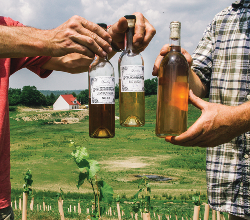 Mad House produces small-batch malt vinegar with upcycled beer wort from local craft breweries.