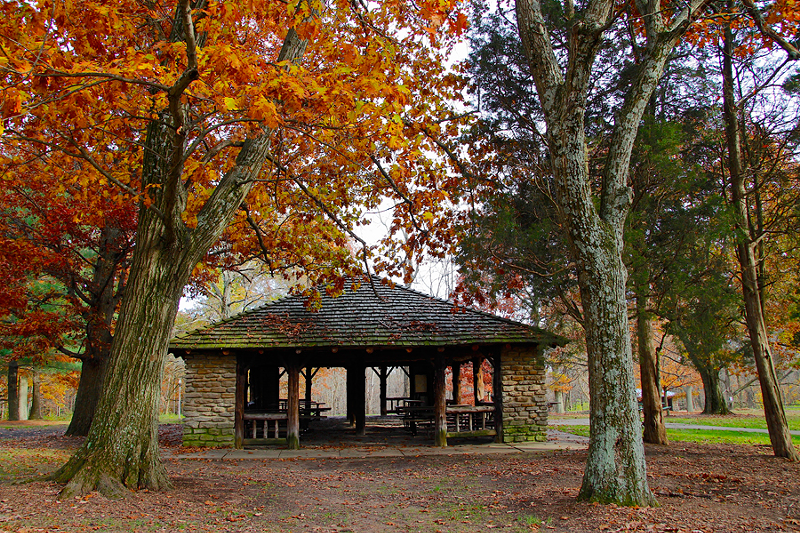 WPA Shelter in Mount Airy Forest - Photo: Nick Swartsell