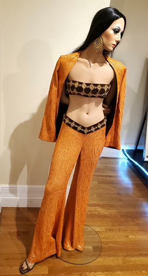 Pop Icon Cher's Glamorous Vintage Beaded Costumes To Be Displayed at Covington's Behringer-Crawford Museum