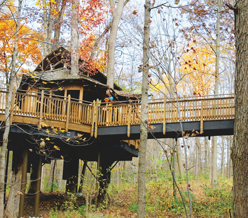 Mount Airy Forest’s public treehouse