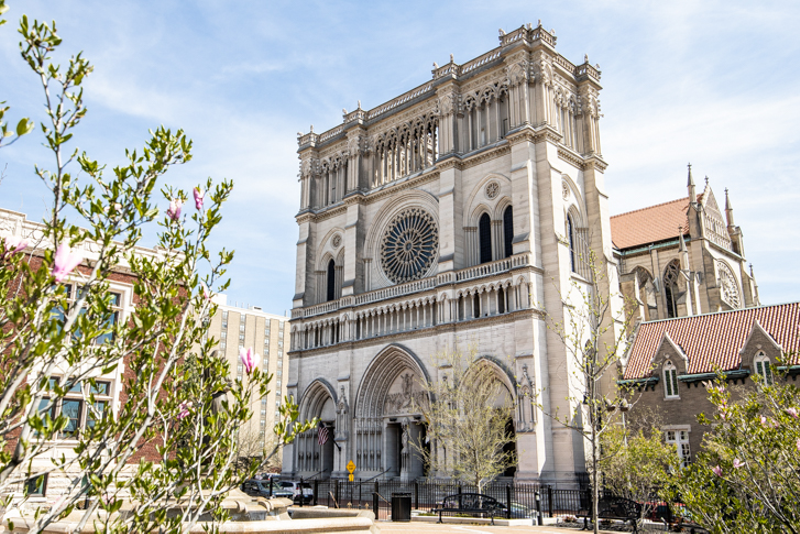 Covington's Cathedral Basilica of the Assumption - Photo: Hailey Bollinger