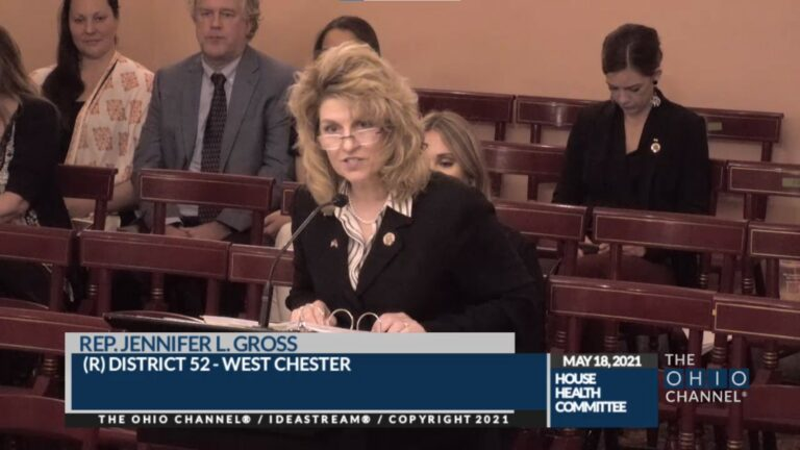 Rep. Jennifer Gross (R-West Chester) is seen previously speaking to the House Health Committee. She is the main sponsor for House bill 248. - Photo: The Ohio Channel