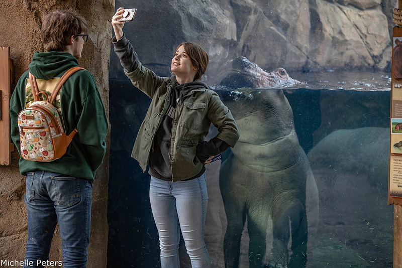 Masks are no longer required for vaccinated visitors at the Cincinnati Zoo, so feel free to show your smile while you selfie with Fiona. - Photo: Michelle Peters
