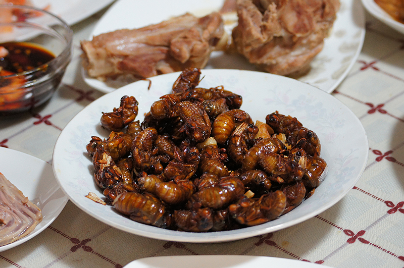 A bowl of deep-fried cicadas - Photo: Xiangrui Huang/CC