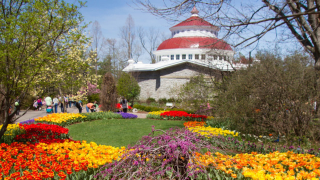 The whole country knows that the Cincinnati Zoo & Botanical Garden is the best. - Photo: Mark Dumont