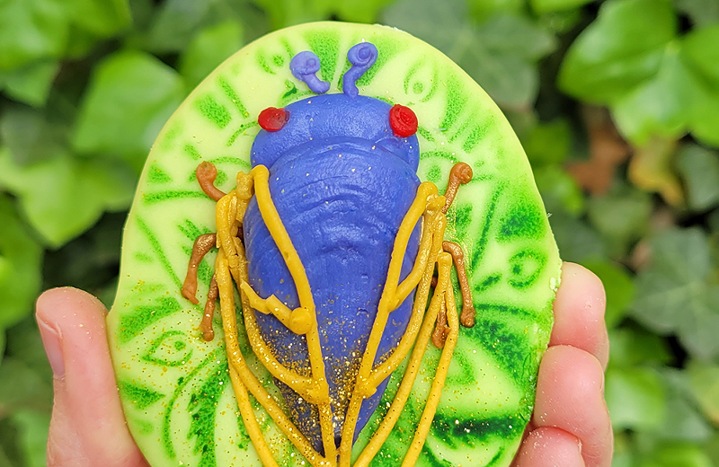 A BonBonerie cicada cookie - Photo: Provided by BonBonerie