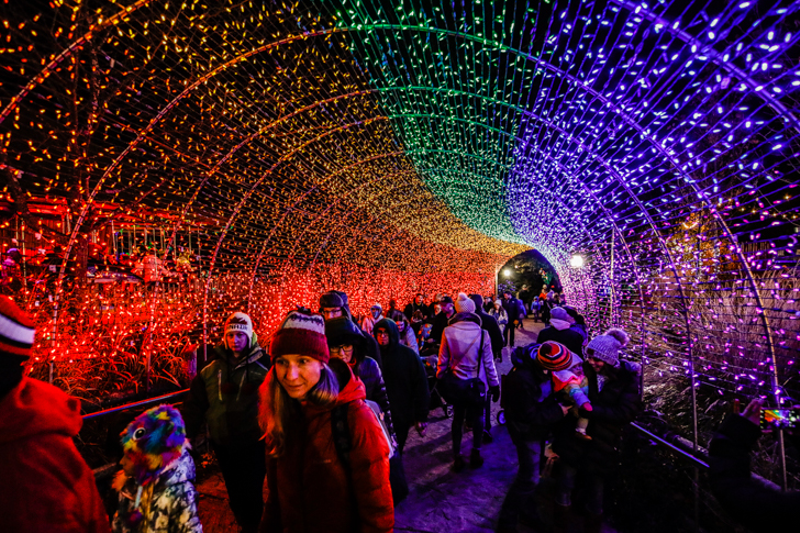 The infamous rainbow tunnel at the Festival of Lights at the Cincinnati Zoo - Photo: Hailey Bollinger
