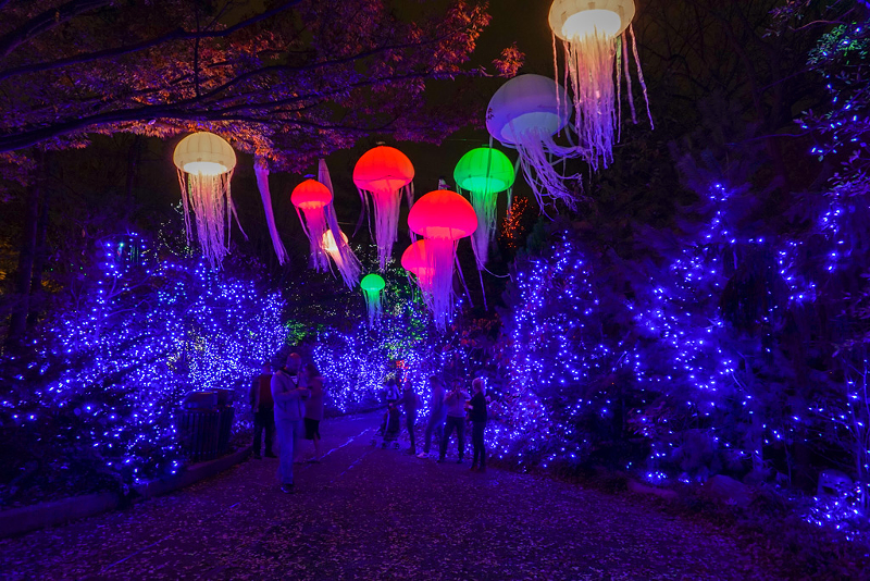 Festival of Lights at the Cincinnati Zoo - Photo: Adam Doty