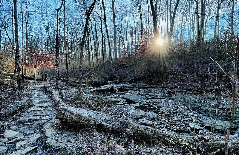 Great Parks of Hamilton County offers a winter hiking series. - PHOTO: KARA DRISCOLL
