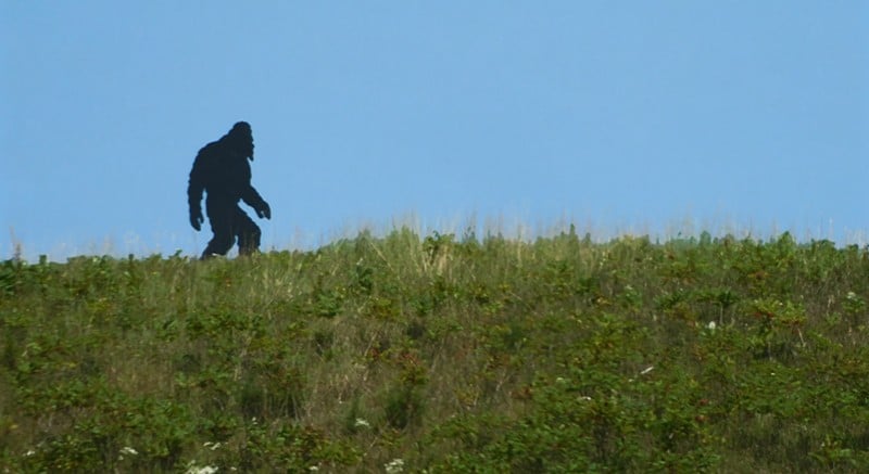 Does Bigfoot live in Hocking Hills? - Photo: dennis dahn/flickr