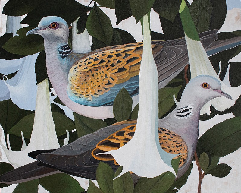 “Turtledoves in Angel Trumpets” by Shae Warnick - Photo: provided by Lloyd Library and Museum and Shae Warnick