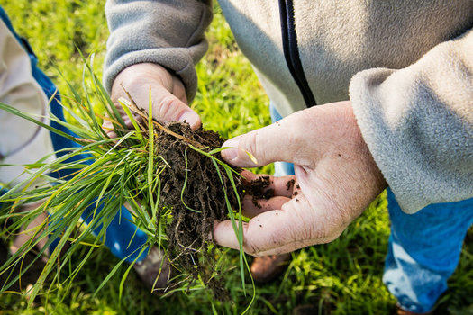 Go outside and get your hands dirty on the 52nd anniversary of Earth Day. - Photo: David Ike/The Nature Conservancy