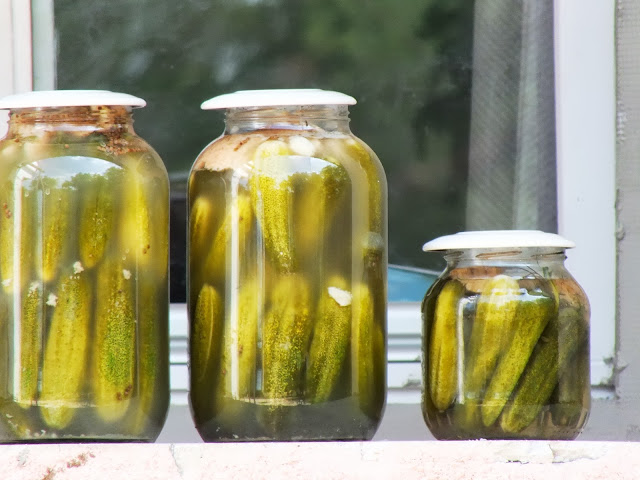 Pickles are the star of Dayton's Pickle Fest - Photo: Voglia/Wikimedia Commons