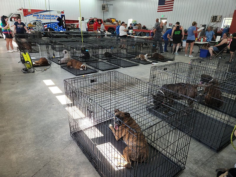 Ninety dogs were rescued from a hoarding situation in Salt Creek Township, Indiana. - Photo: facebook.com/franklincountysd
