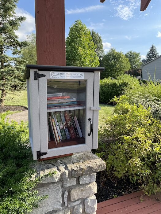 This small library in a Mason subdivision is in a gazebo near a pond. - Photo: Lindsay Wielonski