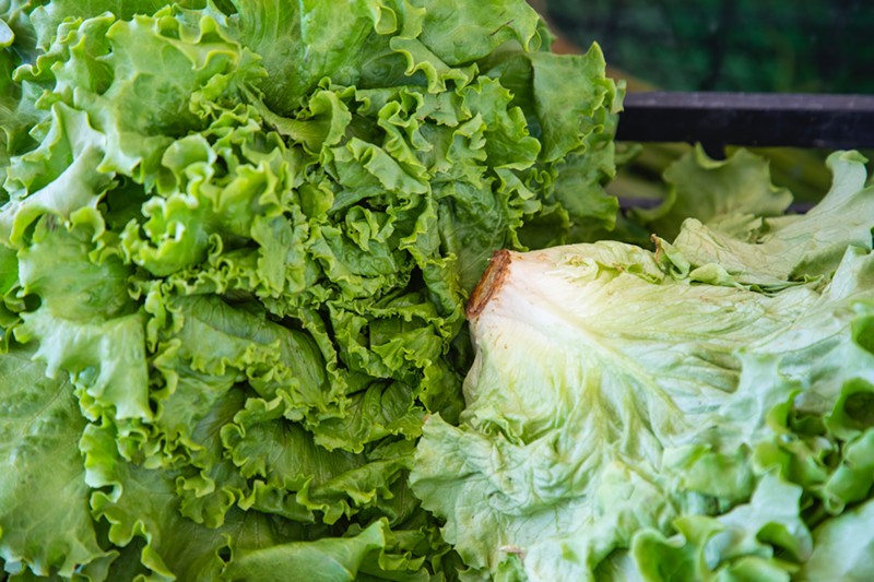Wendy’s has removed the romaine lettuce from their sandwiches due to the outbreak. - Photo: engin akyurt on Unsplash