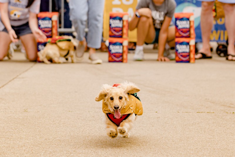 Running of the Wieners - Photo: Hailey Bollinger