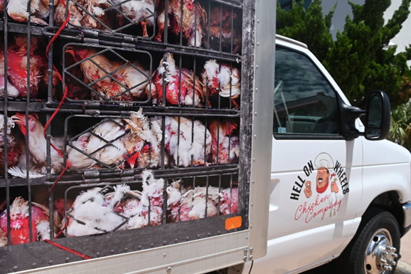 The "Hell on Wheels" truck is coming to Oktoberfest Zinzinnati. - **Graphic Content Warning** - Photo: provided by PETA