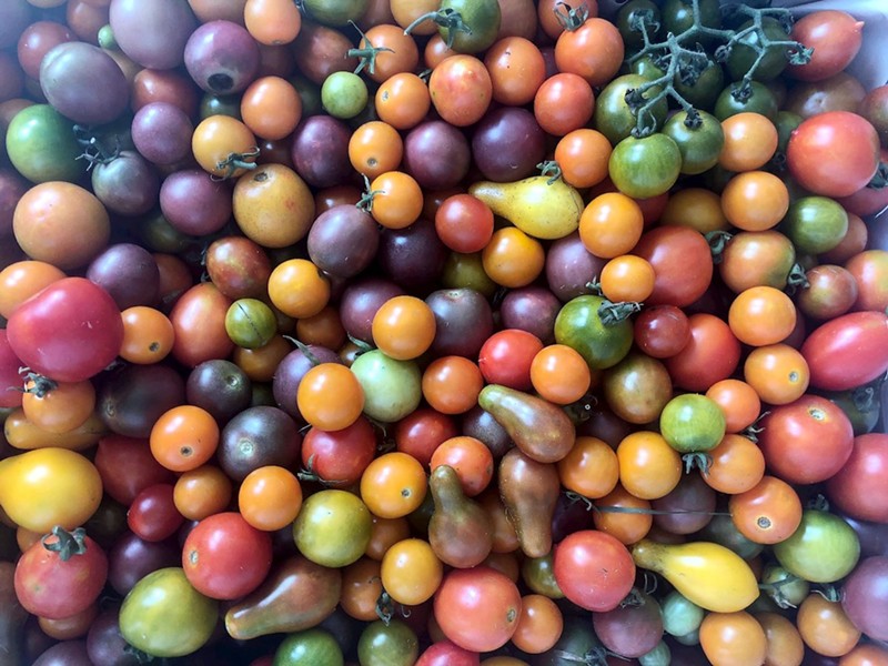 The buyer’s club in Prospect Hill offers fresh local produce, including tomatoes. - Photo: Donna Covrett