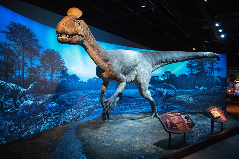 The Dinosaurs of Antarctica exhibit takes guests 200 million years back in time. - Photo: cincymuseum.org/dinosaurs-of-antarctica