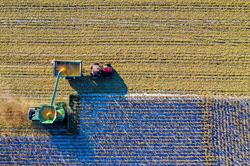 LGBTQ farmers are creating their own space in the agriculture industry and challenging the image of the "typical" farmer. - Photo: Tom Fisk/Pexels