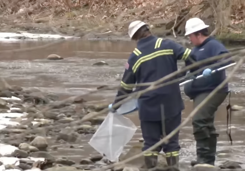 Crews clean up and inspect a waterway near East Palestine, Ohio, where a train derailed and caused a chemical leak that could affect cities along the Ohio River like Cincinnati. - Screenshot: YouTube, CBS Pittsburgh