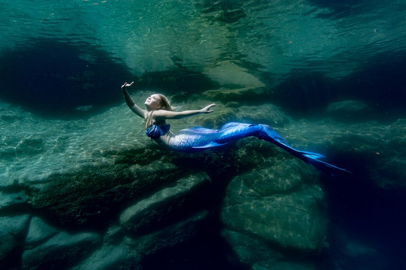 Experience the magic of mermaids at the Newport Aquarium this fall. - Photo: Provided by Newport Aquarium