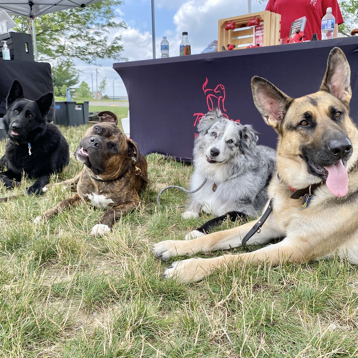 Some good dogs taking a break from shopping!