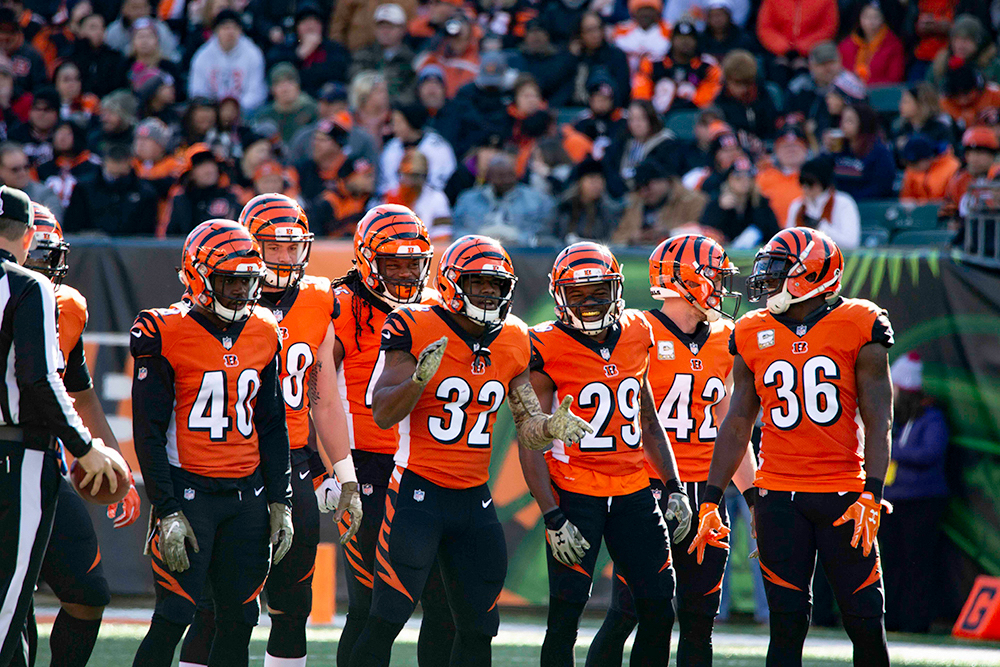 Party Brands Cincinnati Bengals Team Bengals