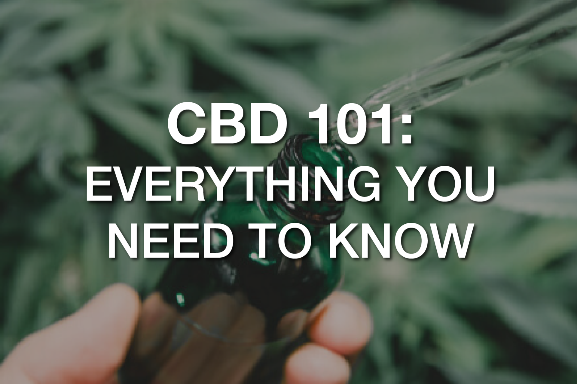 CBD: What You Need to Know