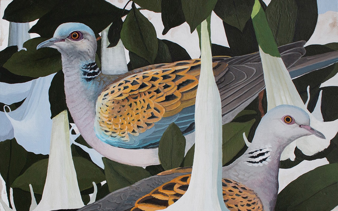 “Turtledoves in Angel Trumpets” by Shae Warnick