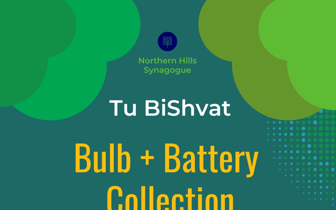 Bulb & Battery Collection with Shomrei Olam & Northern Hills Synagogue