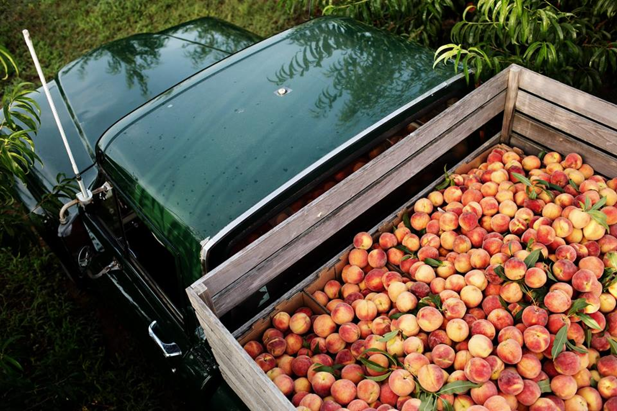 The Peach Truck will be in Cincinnati June 24