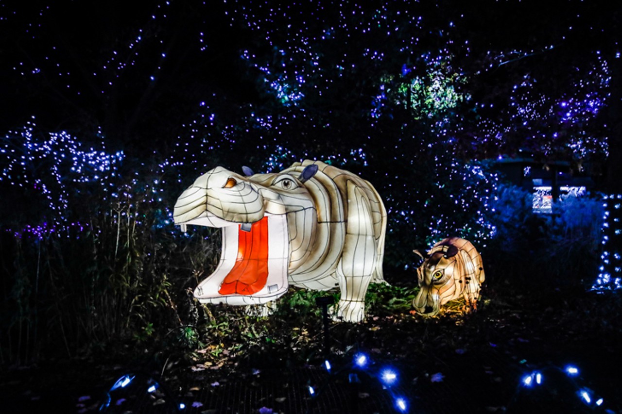 Everything We Saw at the Cincinnati Zoo's 37thAnnual Dazzling Festival