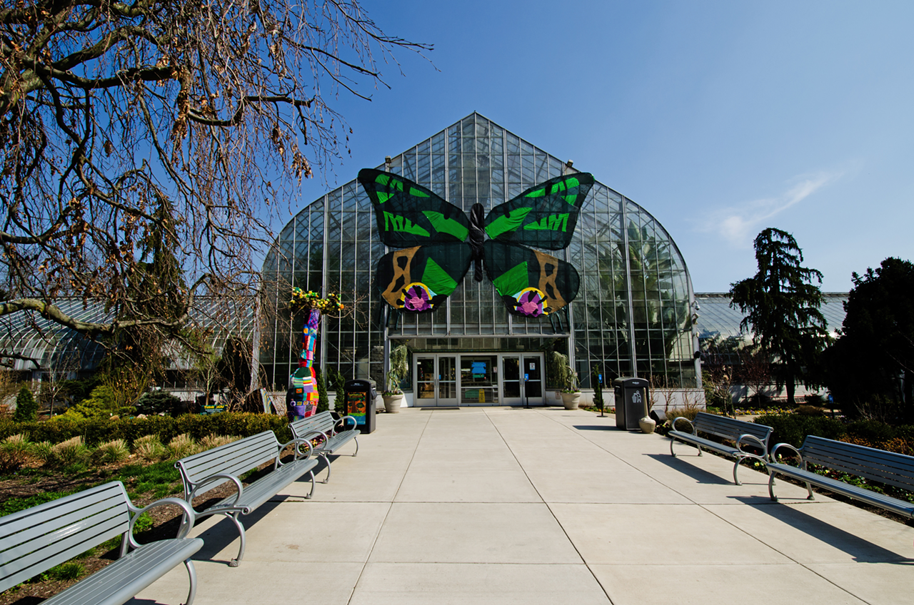 PHOTOS: The Butterflies of Madagascar are on view at Cincinnati's Krohn  Conservatory | Cincinnati | Cincinnati CityBeat