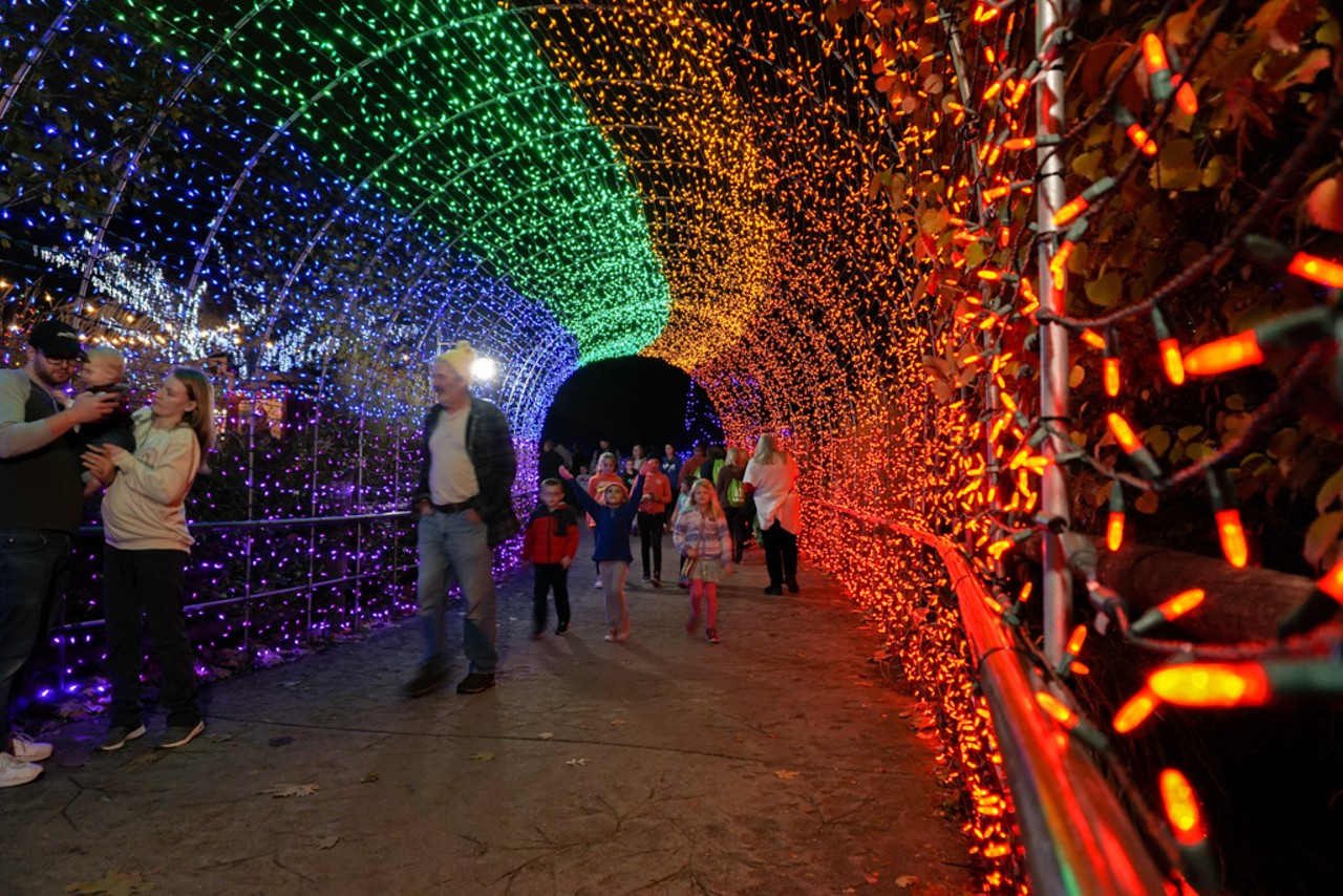 See Some of the 4 Million Lights on Display at the Cincinnati Zoo