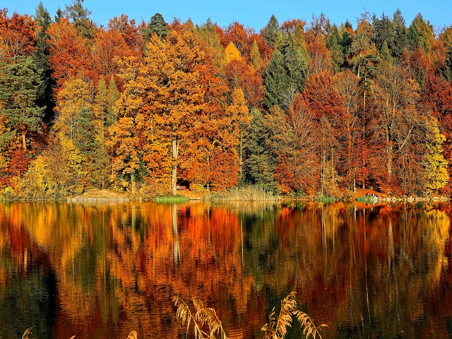 Fall foliage is set to begin in the Midwest by late September.