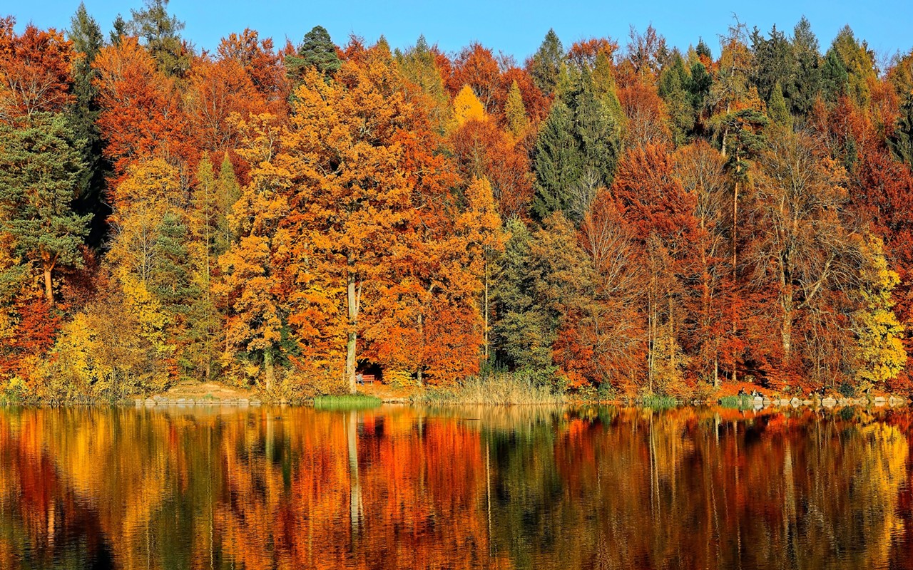 Fall foliage is set to begin in the Midwest by late September.