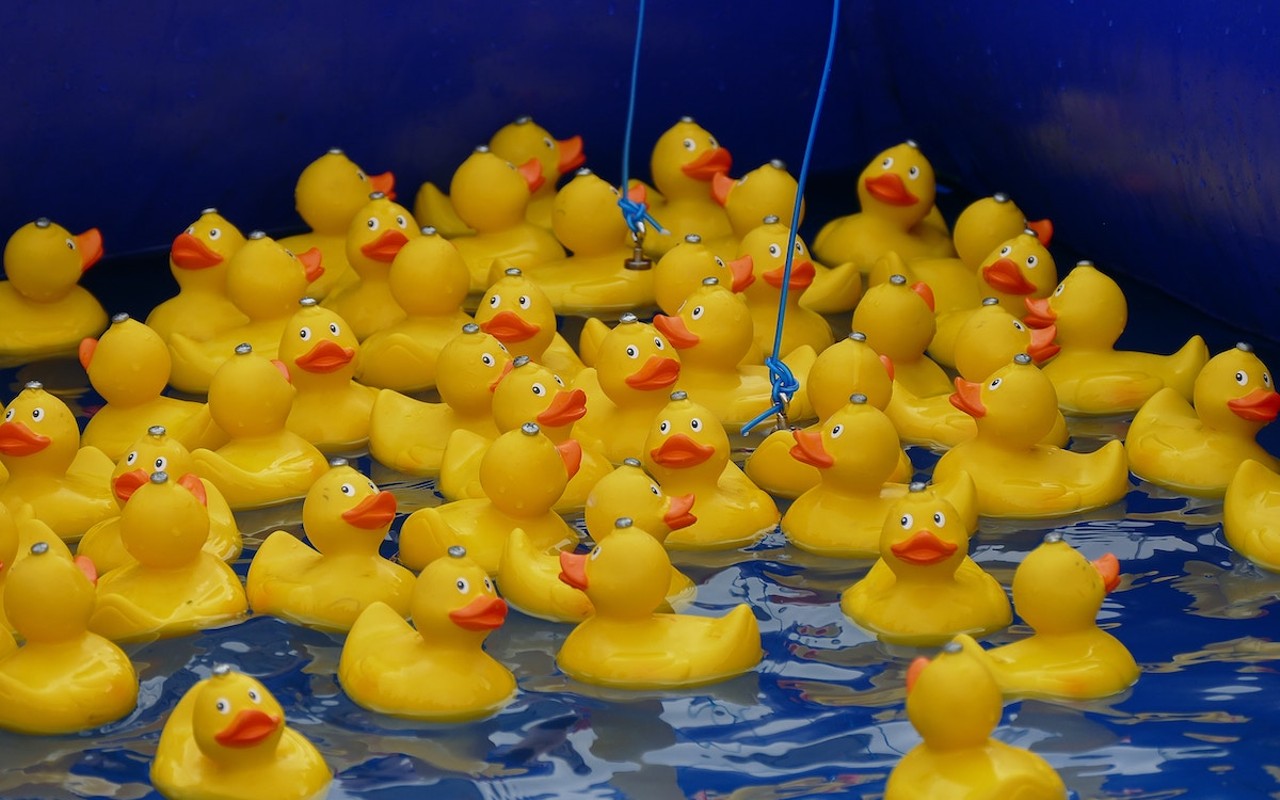 Save the real ducks by adopting and racing a rubber one.