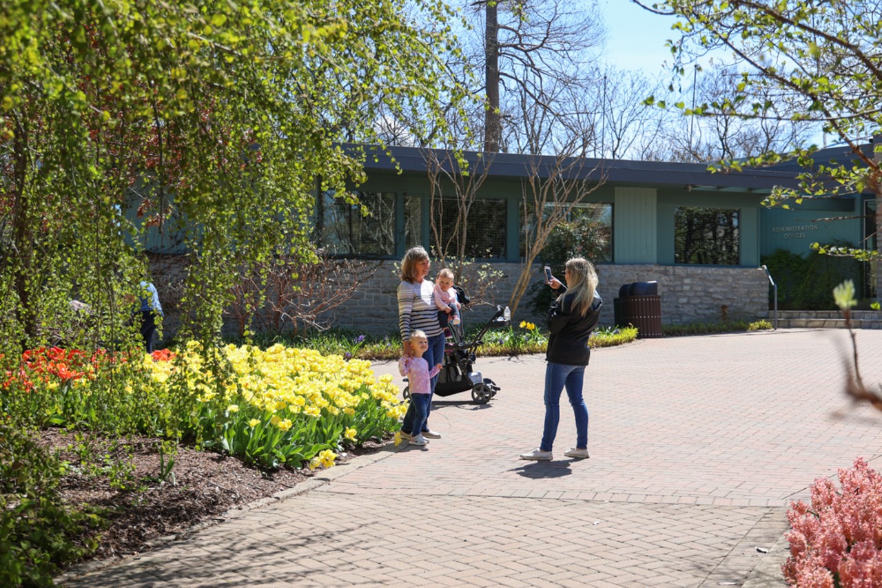 Zoo Blooms are in Full Display at the Cincinnati Zoo